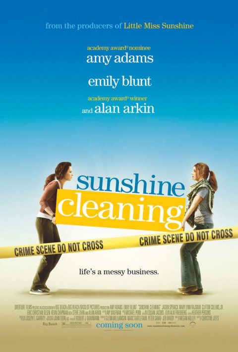 sunshine-cleaning